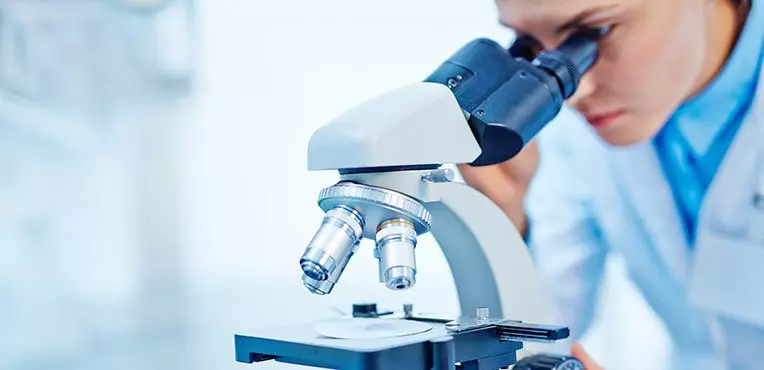 Dla kogo usługi biura specjalistycznych tłumaczeń naukowych